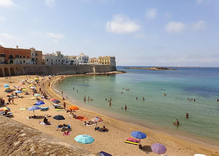 Апартаменты Casa Tulipano *